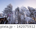 フィンランドのサンタクロース村のあるロヴァニエミの風景 142075912