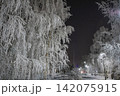 フィンランドのサンタクロース村のあるロヴァニエミの風景 142075915