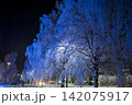 フィンランドのサンタクロース村のあるロヴァニエミの風景 142075917