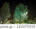 フィンランドのサンタクロース村のあるロヴァニエミの風景 142075919