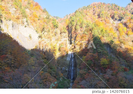 秋の白山白川郷ホワイトロード しりたか滝 秋の白山白川郷ホワイトロード しりたか滝 142076015