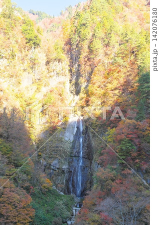 秋の白山白川郷ホワイトロード しりたか滝 秋の白山白川郷ホワイトロード しりたか滝 142076180