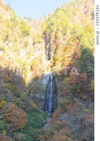 秋の白山白川郷ホワイトロード　しりたか滝 142076181
