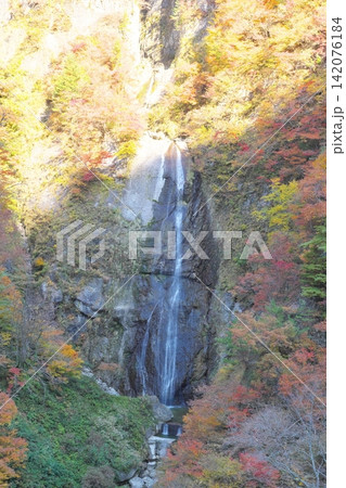秋の白山白川郷ホワイトロード　しりたか滝 142076184