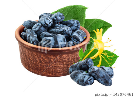 Fresh honeysuckle blue berry in ceramic bowl isolated on white background with full depth of field 142076461