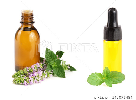 bottle of peppermint oil and fresh mint isolated on white background bottle of peppermint oil and fresh mint isolated on white background 142076484