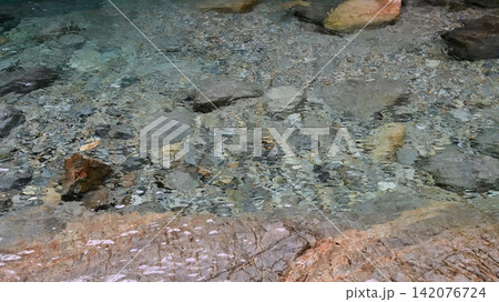 透明度が高く川底の石が綺麗に見える阿寺渓谷 142076724