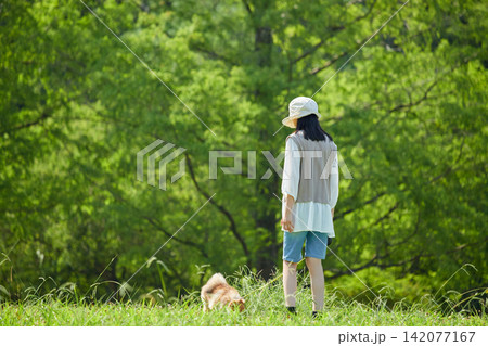 夏の朝の公園で楽しくポメラニアンの子犬と遊んでいる女子中学生の姿 夏の朝の公園で楽しくポメラニアンの子犬と遊んでいる女子中学生の姿 142077167