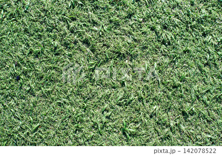 Green sport ground covering texture. Surface of an outdoor sports field. Green artificial grass as a background, Green sport ground covering texture. Surface of an outdoor sports field. Green artificial grass as a background, 142078522