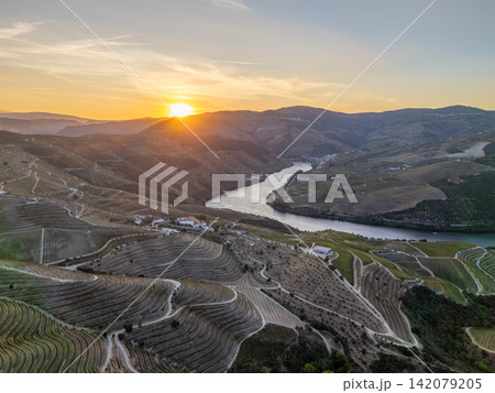 Douro River terraced vineyards sunset aerial view sun glow Douro River terraced vineyards sunset aerial view sun glow 142079205