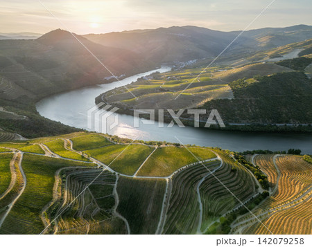 Douro River terraced vineyards sunset aerial view patchwork Douro River terraced vineyards sunset aerial view patchwork 142079258