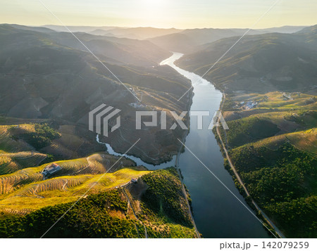 Terraced Vineyard Hills Above Douro River at Sunrise Terraced Vineyard Hills Above Douro River at Sunrise 142079259