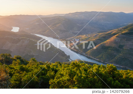 Douro River morning view with vineyards in Douro Valley Douro River morning view with vineyards in Douro Valley 142079266