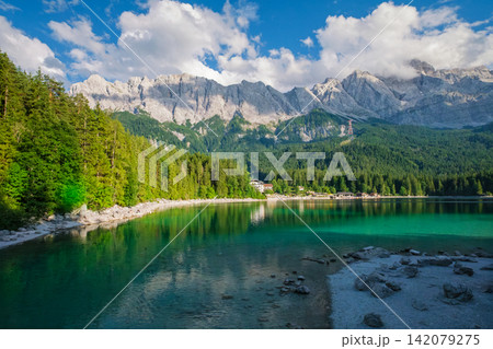Eibsee lake shore with Zugspitze mountain and pine trees in Bavaria Germany 142079275