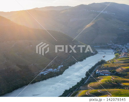 Sunlit Douro River and Vineyards from Above Portugal Sunlit Douro River and Vineyards from Above Portugal 142079345