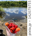 Fresh strawberries and apricots by a lakeside during summer fishing trip 142079755