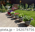 Colorful flower pots decorating a landscaped backyard garden in summer 142079756