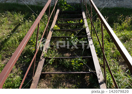 High angle view of old rusty metal ladder overgrown with green grass High angle view of old rusty metal ladder overgrown with green grass 142079820