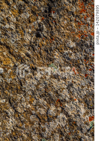Close-Up of Textured Rock Surface with Lichen Close-Up of Textured Rock Surface with Lichen 142079895