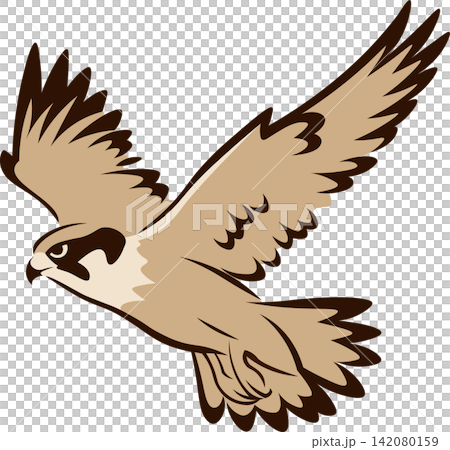 Flying hawk clip art in traditional chinese brush painting style Flying hawk clip art in traditional chinese brush painting style 142080159