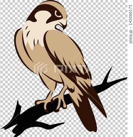 Hawk clipart, traditional chinese brush painting style Hawk clipart, traditional chinese brush painting style 142080173