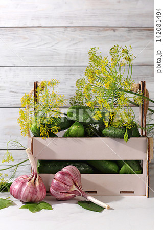 Cucumbers in a basket with dill, garlic, and pickling leaves on the kitchen counter. Harvest concept. Homemade pickle recipe. Cucumbers and pickling ingredients. Home canning concept. Cucumbers in a basket with dill, garlic, and pickling leaves on the kitchen counter. Harvest concept. Homemade pickle recipe. Cucumbers and pickling ingredients. Home canning concept. 142081494