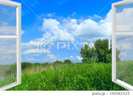 Opened window to summer field. Natural landscape Opened window to summer field. Natural landscape 142081525
