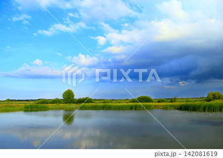 Landscape with lake surrounded with cane and big clouds Landscape with lake surrounded with cane and big clouds 142081619