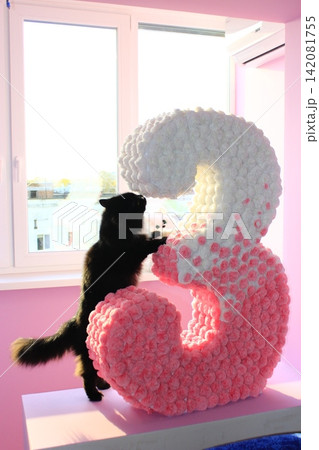 Home cat sniffs a triple made of papier-mache 142081755