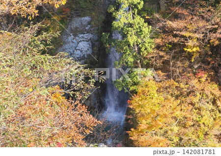 秋の白山白川郷ホワイトロード　岩底の滝 142081781