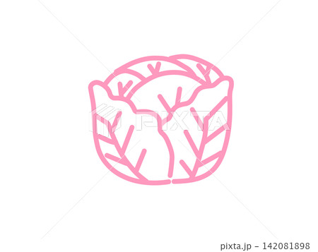 手描きのキャベツ 野菜のイラスト ピンク 手描きのキャベツ 野菜のイラスト ピンク 142081898