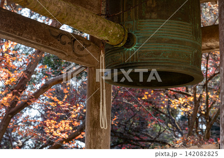 静岡県周智郡森町橘 大洞院と境内の風景 静岡県周智郡森町橘 大洞院と境内の風景 142082825
