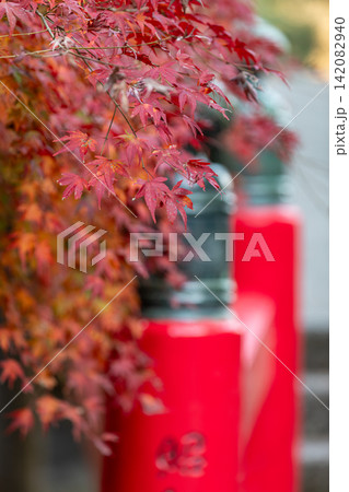 静岡県周智郡森町橘 大洞院と境内の風景 静岡県周智郡森町橘 大洞院と境内の風景 142082940