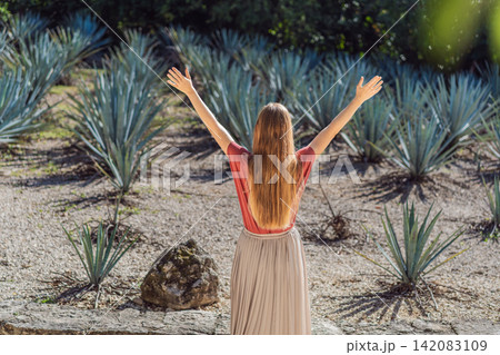Female tourist visits rows of cultivated agave plants used to make tequila and mezcal, showing Mexican agriculture, travel and cultural heritage concept Female tourist visits rows of cultivated agave plants used to make tequila and mezcal, showing Mexican agriculture, travel and cultural heritage concept 142083109