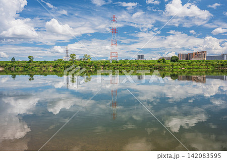 淀川夏景色　大阪府枚方市 142083595