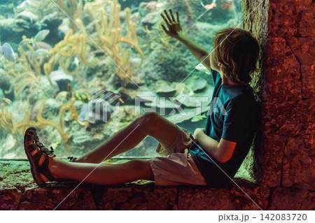 Older child observes colorful fish and coral behind glass, showing ocean education, curiosity, science learning and family travel concept Older child observes colorful fish and coral behind glass, showing ocean education, curiosity, science learning and family travel concept 142083720