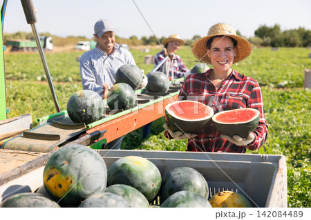 Portrait of smiling woman plantation worker with two halves of ripe watermelon Portrait of smiling woman plantation worker with two halves of ripe watermelon 142084489