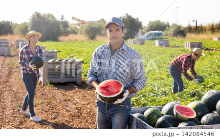 hired worker with half a watermelon in her hands posing in farmer field 142084546
