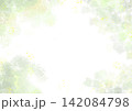 水彩タッチの植物素材～緑系～ 142084798