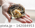 あこや真珠養殖のあこや貝 142084953