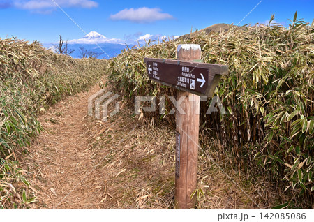 伊豆半島の伊豆山稜線歩道　笹原の登山道の向こうに聳える富士山 142085086