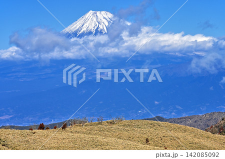 伊豆半島の伊豆山稜線歩道 古稀山山頂から望む雪化粧の富士山 伊豆半島の伊豆山稜線歩道 古稀山山頂から望む雪化粧の富士山 142085092