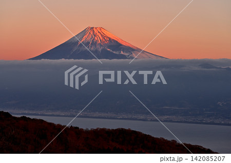伊豆半島　伊豆山稜線歩道の金冠山　朝焼けに染まる富士山 142085207