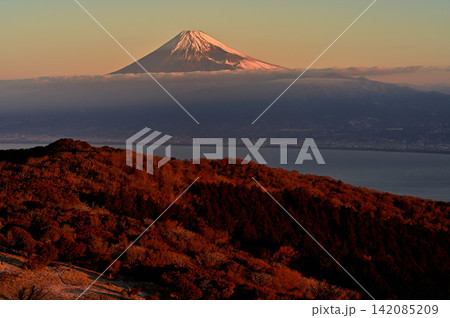 伊豆半島 伊豆山稜線歩道の金冠山 朝焼けに染まる山稜と富士山 伊豆半島 伊豆山稜線歩道の金冠山 朝焼けに染まる山稜と富士山 142085209