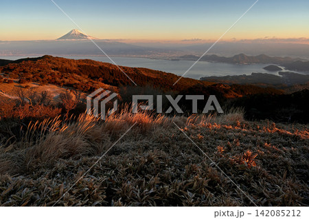 伊豆半島　伊豆山稜線歩道の金冠山　夜明けの富士山展望 142085212