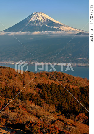 伊豆半島 伊豆山稜線歩道の金冠山より 朝日浴びる山稜と富士山 伊豆半島 伊豆山稜線歩道の金冠山より 朝日浴びる山稜と富士山 142085215