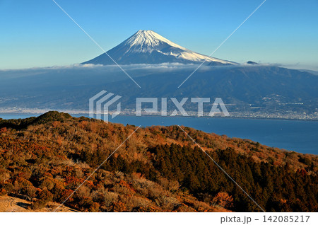 伊豆半島の伊豆山稜線歩道 金冠山山頂より望む冬の朝の富士山 伊豆半島の伊豆山稜線歩道 金冠山山頂より望む冬の朝の富士山 142085217