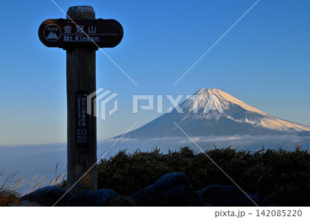 伊豆半島 伊豆山稜線歩道の金冠山山頂 冬の朝を迎える富士山と頂 伊豆半島 伊豆山稜線歩道の金冠山山頂 冬の朝を迎える富士山と頂 142085220
