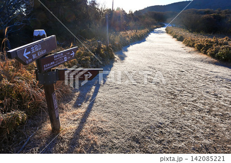 伊豆半島の伊豆山稜線歩道 朝日眩しい凍てつく金冠山の分岐 伊豆半島の伊豆山稜線歩道 朝日眩しい凍てつく金冠山の分岐 142085221