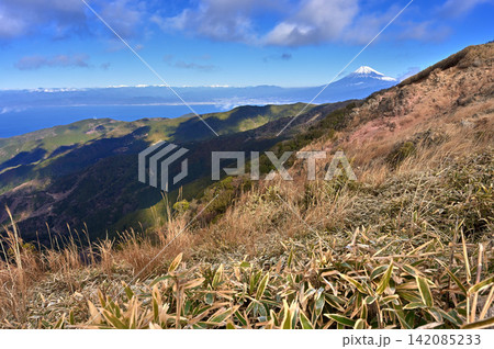伊豆半島 伊豆山稜線歩道 小達磨山から望む雪景色した富士山と南アルプスの共演 伊豆半島 伊豆山稜線歩道 小達磨山から望む雪景色した富士山と南アルプスの共演 142085233